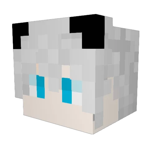FenG265 Minecraft avatar head, 3D render