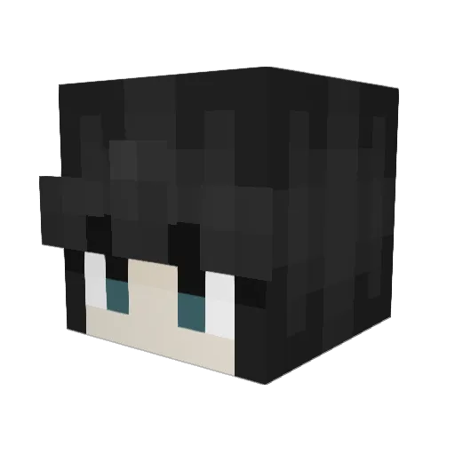 FenRick719 Minecraft avatar head, 3D render