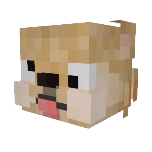 FenZeLa Minecraft avatar head, 3D render