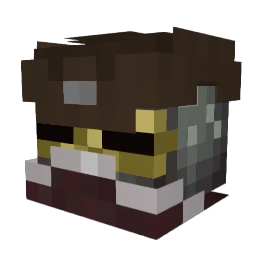 Fen_247 Minecraft avatar head, 3D render