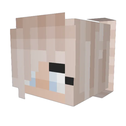 FenderBender510 Minecraft avatar head, 3D render