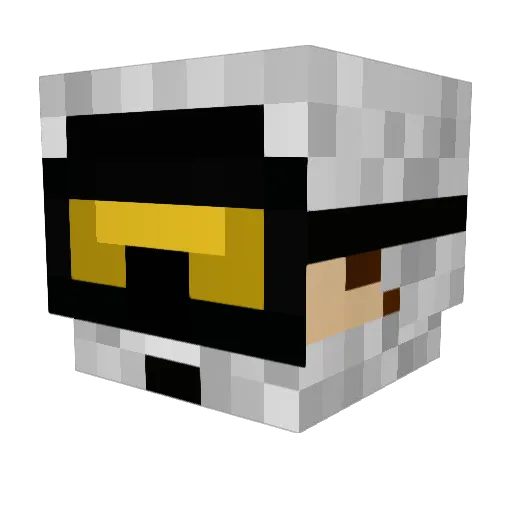 Fenders Minecraft avatar head, 3D render