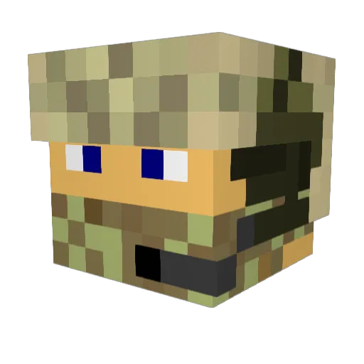 Fendtfahrer1234 Minecraft avatar head, 3D render