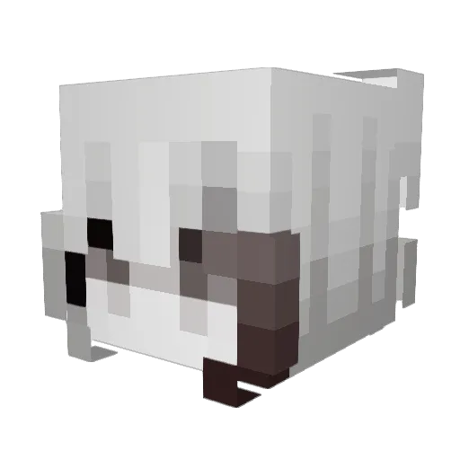 Fenecen Minecraft avatar head, 3D render