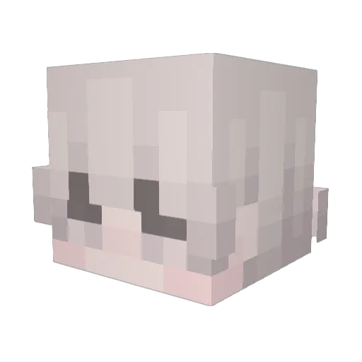 Fenell Minecraft avatar head, 3D render