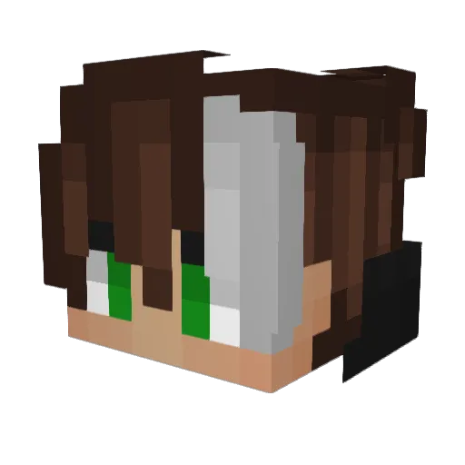 Fenex97 Minecraft avatar head, 3D render