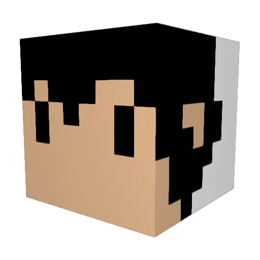Fenexus101 Minecraft avatar head, 3D render