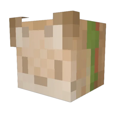 Fenez Minecraft avatar head, 3D render