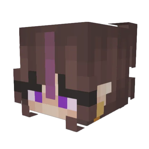 Feng1116 Minecraft avatar head, 3D render