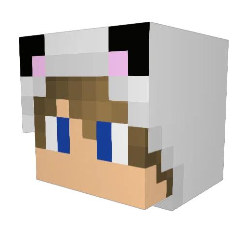 Feng123 Minecraft avatar head, 3D render