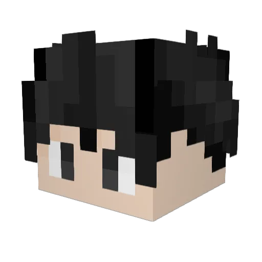 Feng152 Minecraft avatar head, 3D render