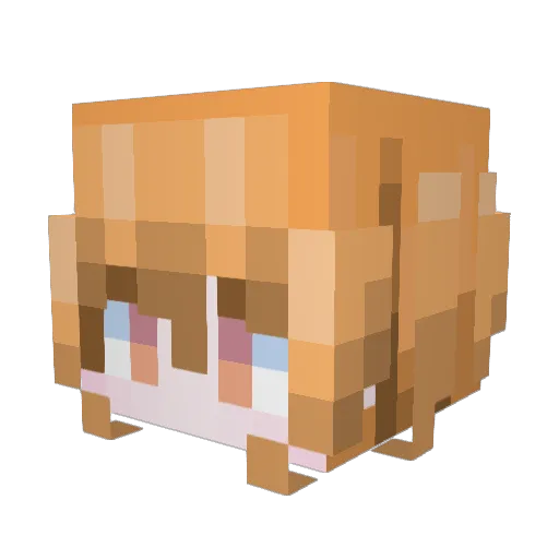 Feng_MPL Minecraft avatar head, 3D render
