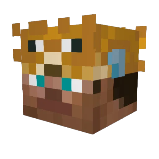 Feng_ohhh Minecraft avatar head, 3D render
