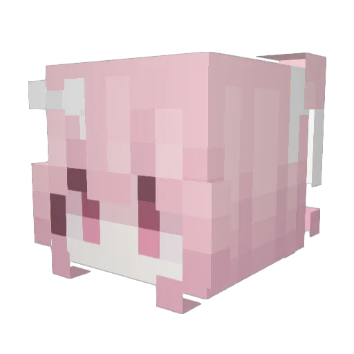 Fengdian233 Minecraft avatar head, 3D render