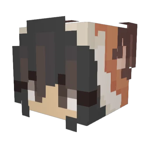 Fenggnef Minecraft avatar head, 3D render
