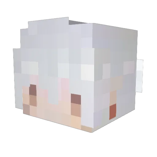 Fengye0511 Minecraft avatar head, 3D render