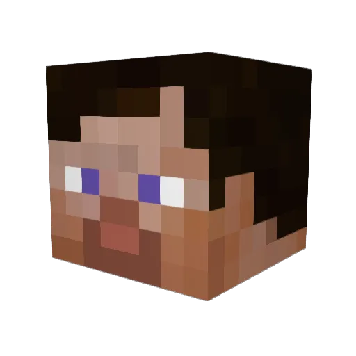 Fenicottero Minecraft avatar head, 3D render