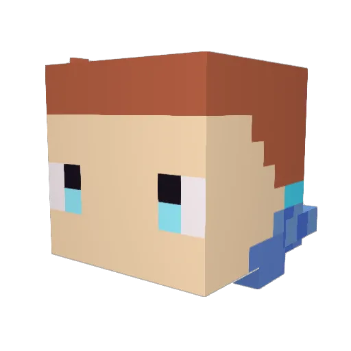 Feniks9421 Minecraft avatar head, 3D render