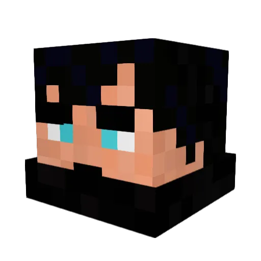 Fenikss_ Minecraft avatar head, 3D render
