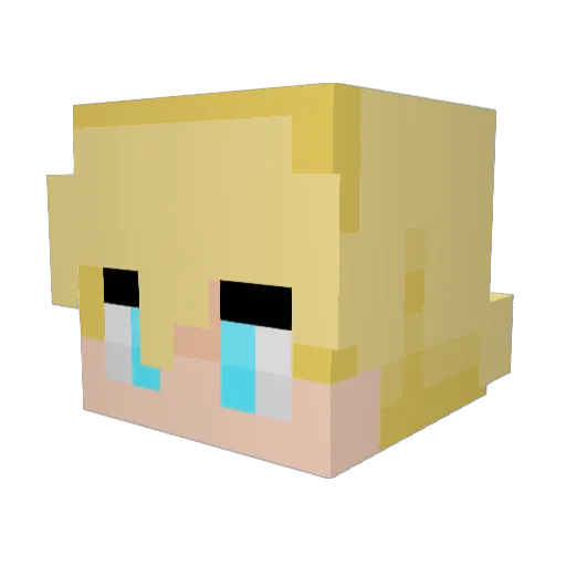 Fenit31 Minecraft avatar head, 3D render
