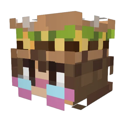 FenixVoid Minecraft avatar head, 3D render
