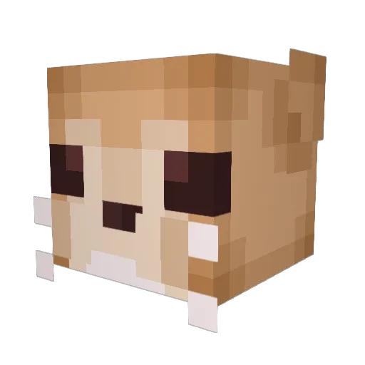 Fenixx24 Minecraft avatar head, 3D render