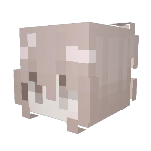 Fenl Minecraft avatar head, 3D render