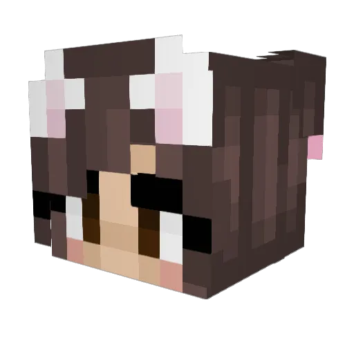 Fennatje Minecraft avatar head, 3D render