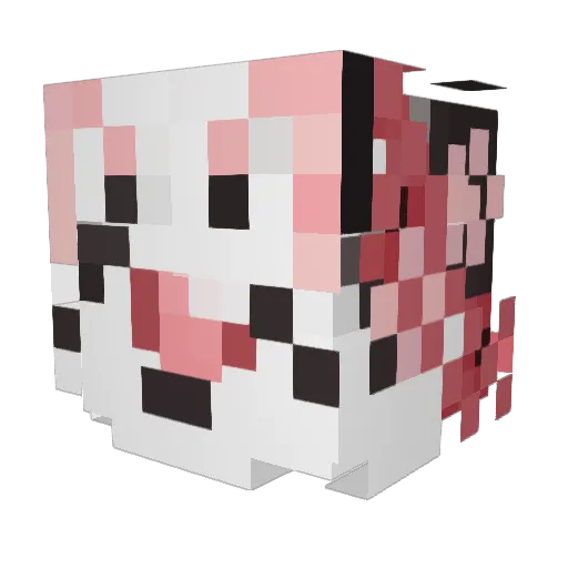 FennecTunes Minecraft avatar head, 3D render