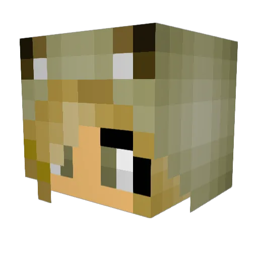 Fennec_17 Minecraft avatar head, 3D render