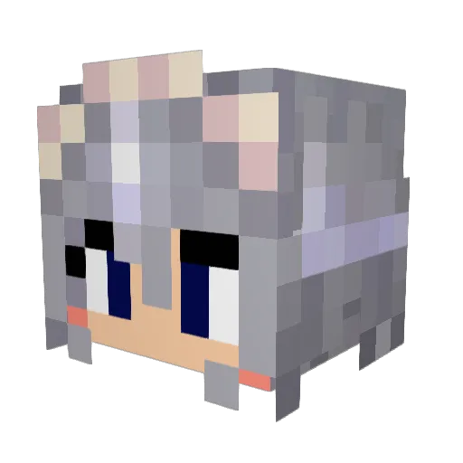 FennekMasterMC Minecraft avatar head, 3D render