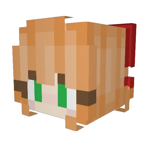 Fennnyu Minecraft avatar head, 3D render