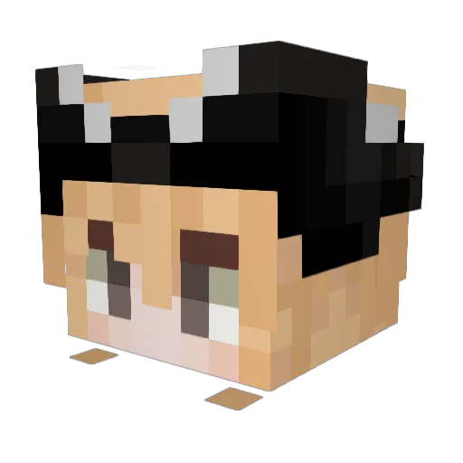 Fenomenoz Minecraft avatar head, 3D render