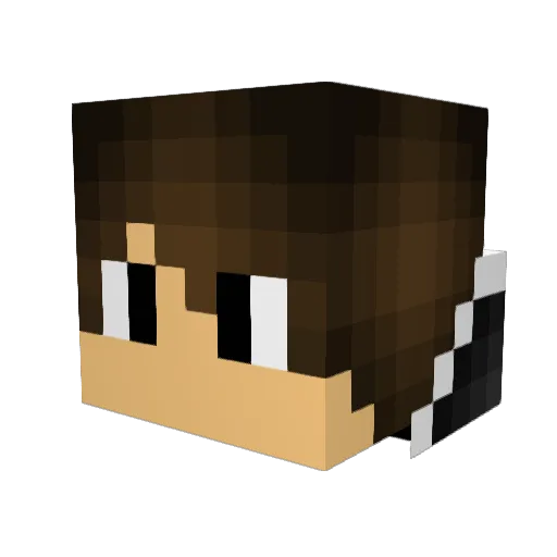 Fenox1337 Minecraft avatar head, 3D render