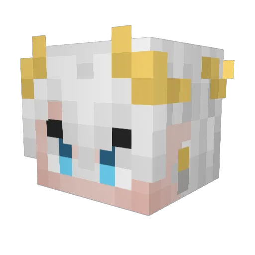FenrIcarus Minecraft avatar head, 3D render