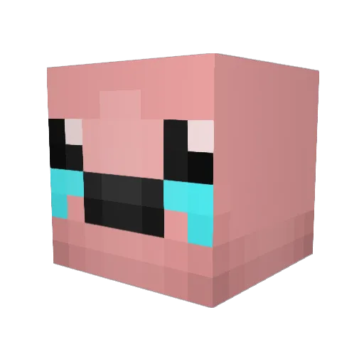 FenrirNorth Minecraft avatar head, 3D render