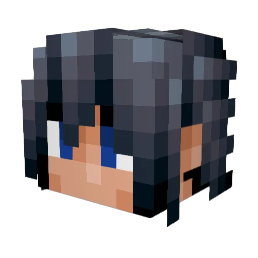 FenrisWolfo Minecraft avatar head, 3D render