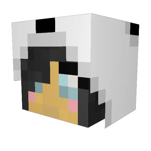 Fenrisflower Minecraft avatar head, 3D render