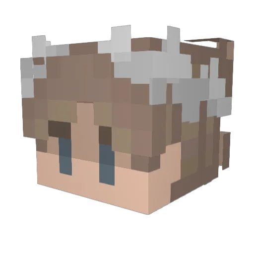 Fenrixe Minecraft avatar head, 3D render