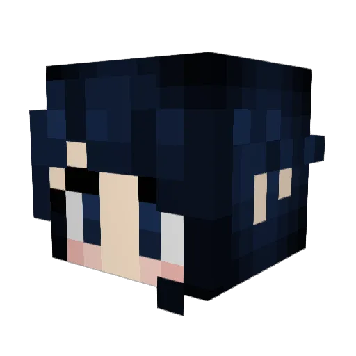 Fensfield Minecraft avatar head, 3D render