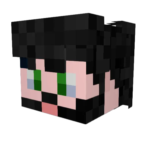 FentaNeel Minecraft avatar head, 3D render