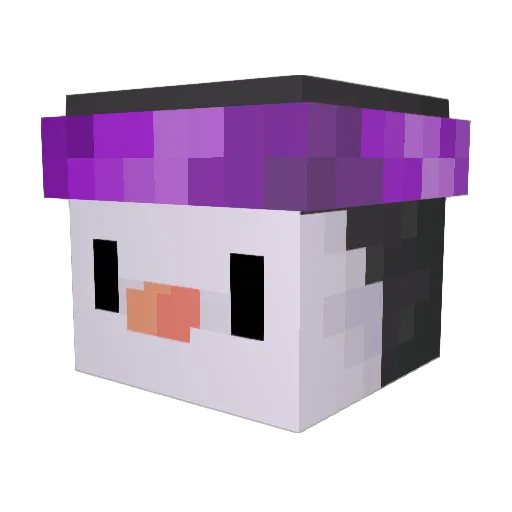 Fentee Minecraft avatar head, 3D render