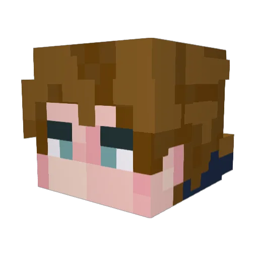 Fenzy_9 Minecraft avatar head, 3D render