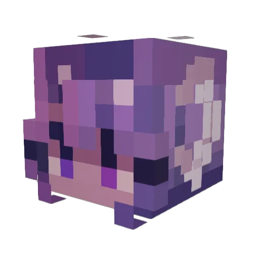 Feower4 Minecraft avatar head, 3D render