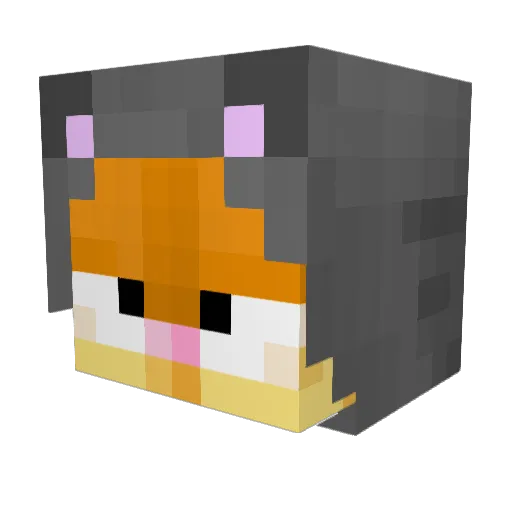 Fepppe Minecraft avatar head, 3D render