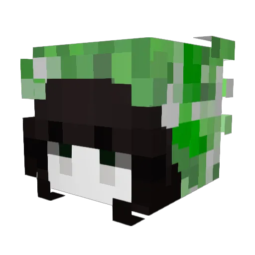 Fer263 Minecraft avatar head, 3D render