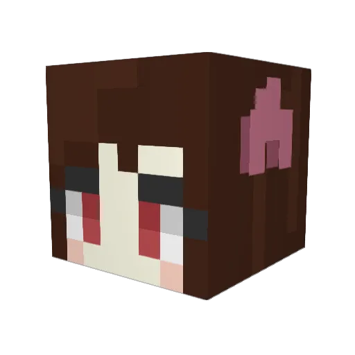 Fer4141 Minecraft avatar head, 3D render