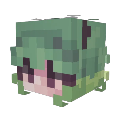 Fer_Noceti Minecraft avatar head, 3D render