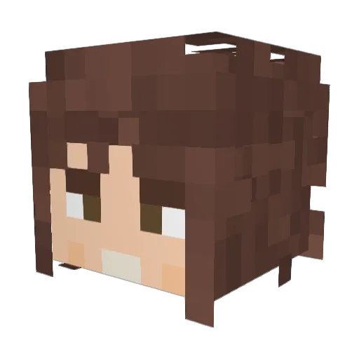 Feradon Minecraft avatar head, 3D render