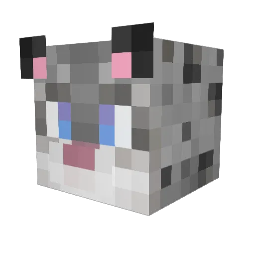 FeralKitty17 Minecraft avatar head, 3D render